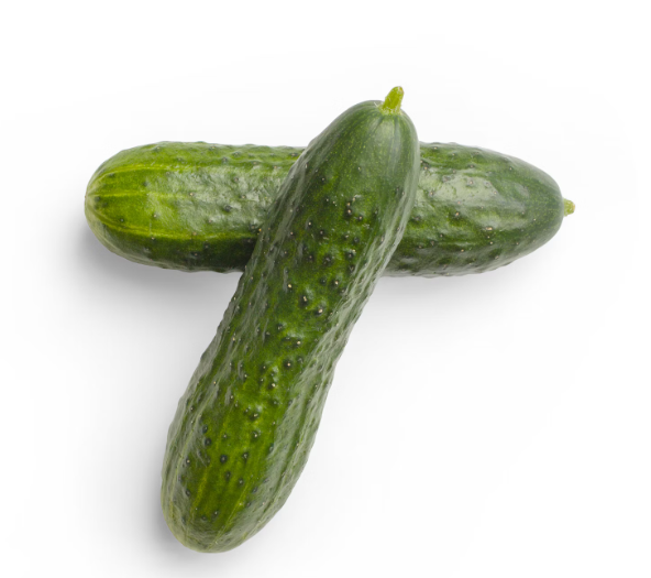 Fresh Cucumber Lebanese 500gm