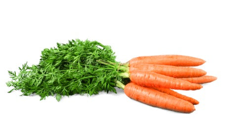 Fresh Dutch Carrots Bunch