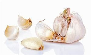 Fresh Garlic Chinese Bulb