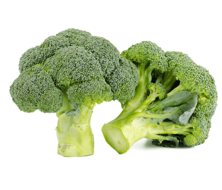 Fresh Broccoli 2 Medium Heads
