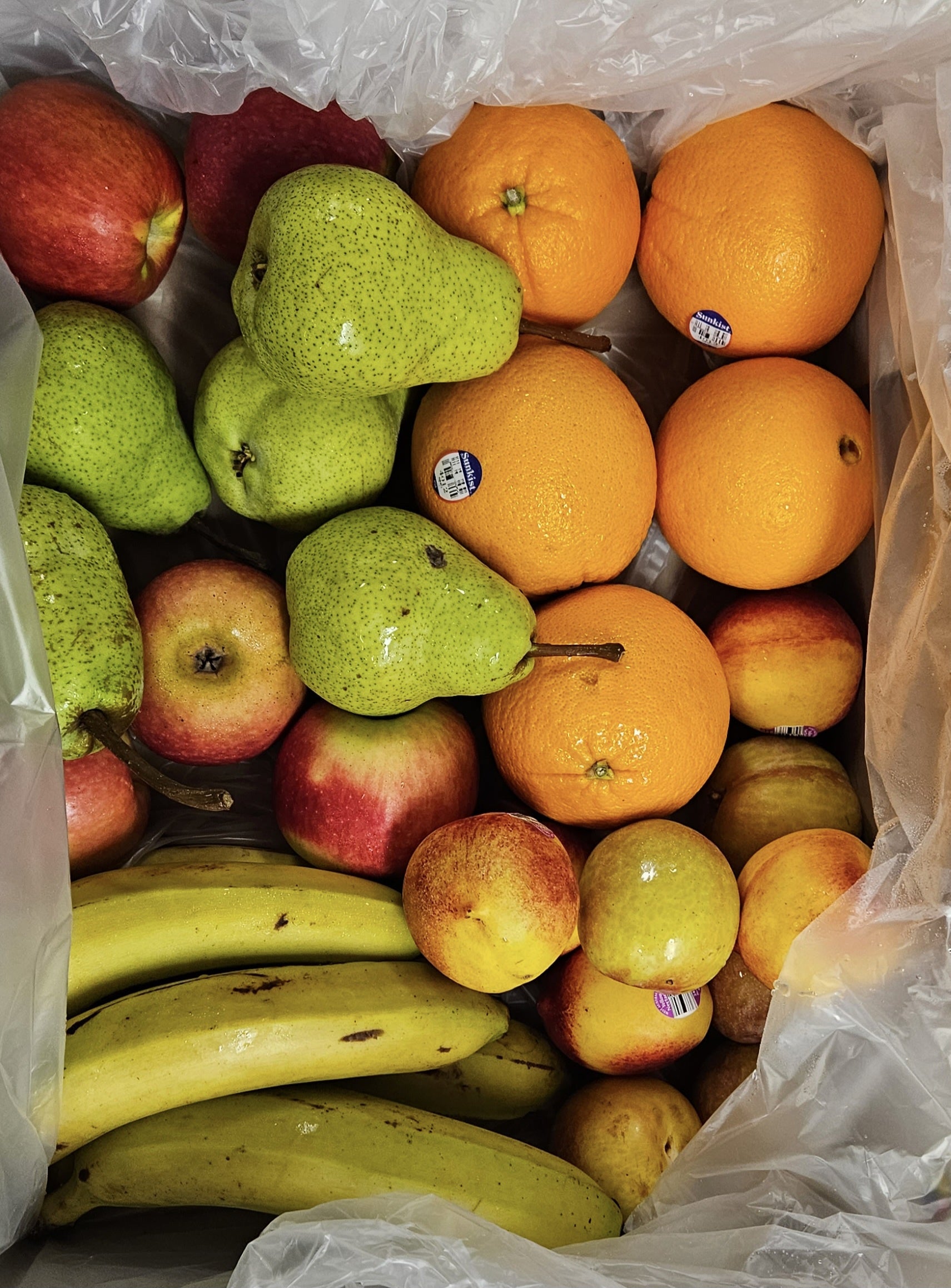 Fresh Whole Fruit Box - Large