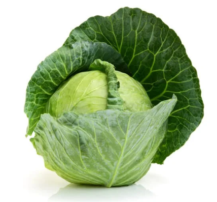 Fresh Cabbage Savoy Whole ea