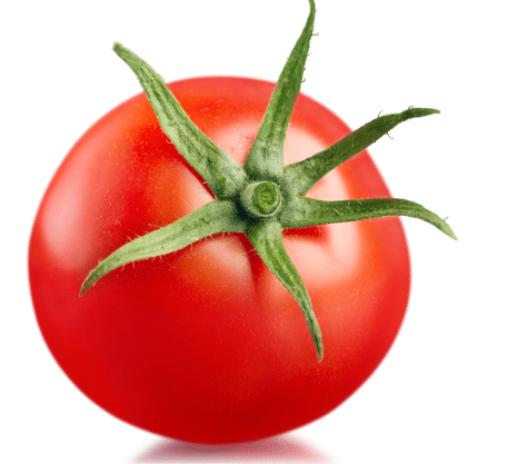 Fresh Tomatoes Premium 500gm