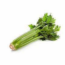 Fresh Celery ea