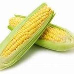 Fresh Corn Cobs ea