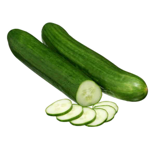 Fresh Burpless Cucumber