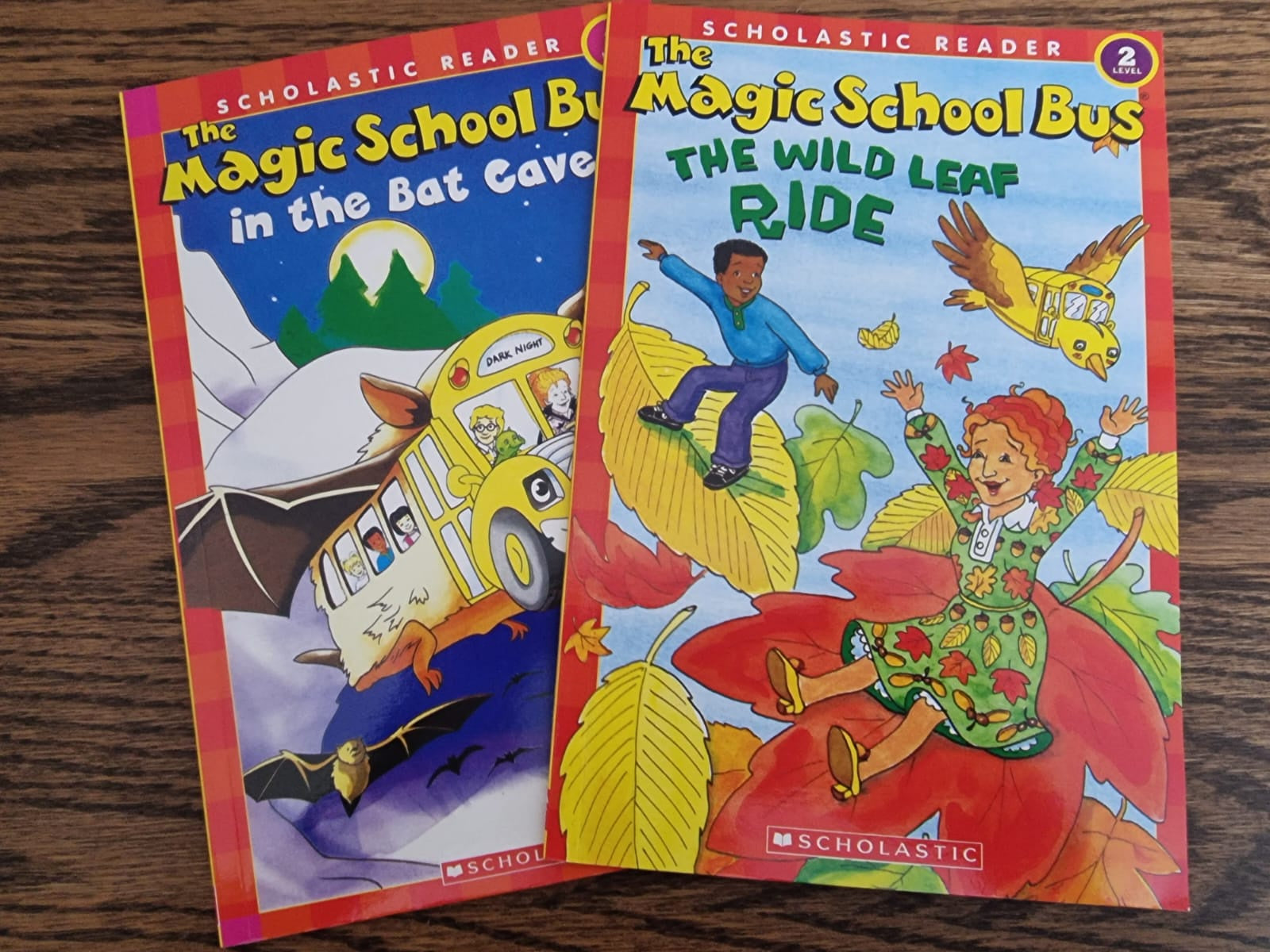 I Can Read Books - Magic School Bus