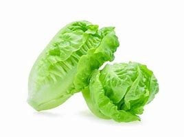 Fresh Lettuce Baby Cos 2pk