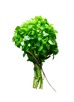 Herb Fresh Basil Lrg Bunch