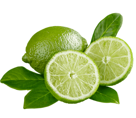 Fresh Limes Each